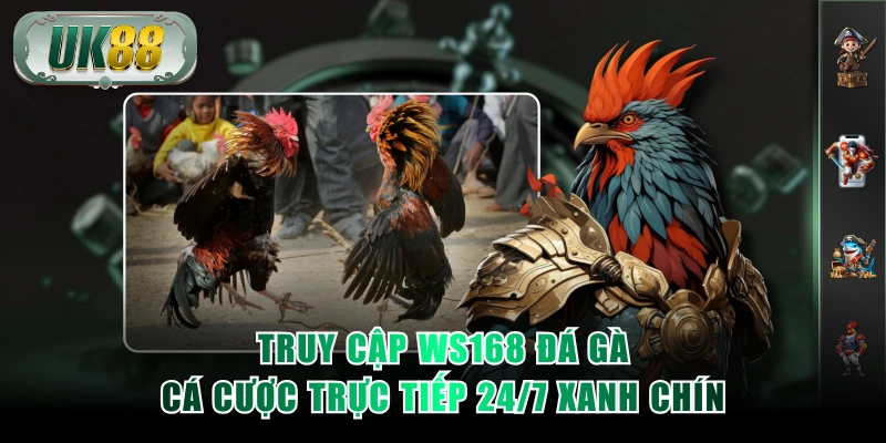 WS168 đá gà