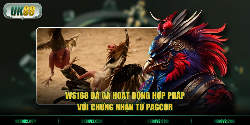 WS168 đá gà hoạt động hợp pháp với chứng nhận từ PAGCOR
